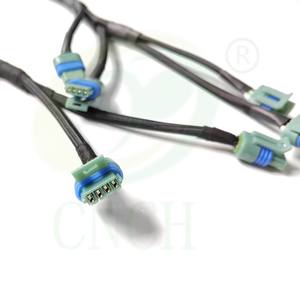 توصيل وتشغيل محركات السيارات الفرعية EFI-من أجل هولي + LS - Product Image 5