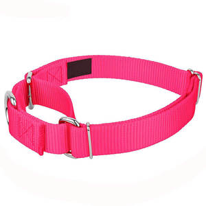 Hoge Kwaliteit Verstelbare Metalen Gesp Grote Honden Martingaal Halsband - Product Image 3