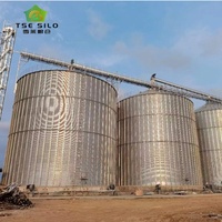 Sistema di Silos per Grano e Mais di Grande Capacità Zincato