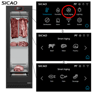 Réfrigérateur de maturation de viande SICAO Commercial Beef Hanging Smart Meat Dri Dry Ager, congélateur de présentation, équipement de cuisine, <span class=keywords><strong>armoire</strong></span> - Product Image 2