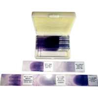 15Pcs Hematology Prepared Slides Blood Smear Prepared Slides