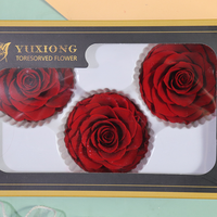 Vente en gros de têtes de roses naturelles séchées et préservées de 7-8 cm pour la Saint-Valentin, les remises de diplômes, les arrangements floraux de Noël - Longue durée