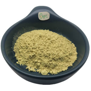 Порошок экстракта корня Scutellaria Baicalensis (Байкалка обыкновенная) натуральный, 80%, 85%, 90%, оптом от производителя - Product Image 1