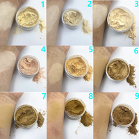 Logo Kustom Minyak Kontrol Pengaturan Bubuk Private Label Pigmen Yang Tinggi Kosmetik Tahan Air Matte Loose Powder