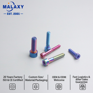 Vis en titane à tête cylindrique et six pans creux pour modification de moto MALAXY - Product Image 1