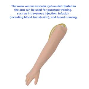 Model pelatihan kebocoran vena lengan-simulasi pengambilan sampel darah & injeksi IV - Product Image 3