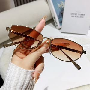 Polygonal <b>Small</b> <b>Frame</b> Metal <b>Sunglasses</b> UV400 PC Lens Unisex Outings Cycling Driving Stage Parties - Product Image 1