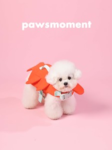 Chaleco Salvavidas para Perros PAWSMOMENT, Traje de Baño para Mascotas, Traje de Baño con Flotabilidad para Playa y Piscina con Alas Pequeñas, Divertido y Diseñado para Mascotas Pequeñas - Product Image 2