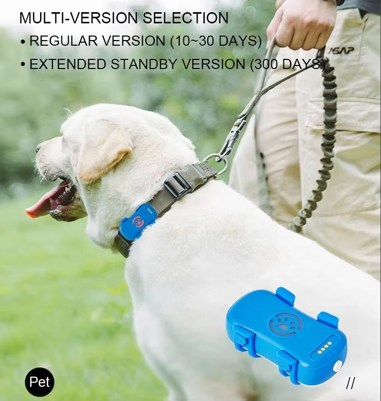 Long Standby Fence Alarm Real-Time Tracking Pet GPS Tracker