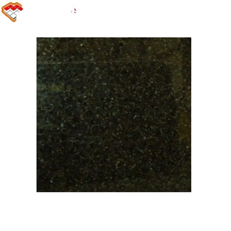 Imported Natural Stone Butterfly Green Granite for Sale Granite Cutter 60x60 Travertine Tiles