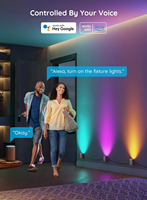 Appliques murales intelligentes RGBIC synchronisées à la musique, décoration intérieure, lumières murales WiFi compatibles avec Alexa, lumière LED murale multicolore pour les fêtes et la décoration