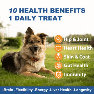 Dog Cat Healthcare Plus Suplementos Nutricionales para Mascotas Gotas Multivitamínicas Líquidas - Product Image 5