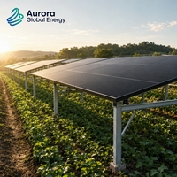 Module PV Bifacial 660W avec Tolérance de Puissance Réglable, Emballage Personnalisé Disponible pour les Distributeurs Solaires Étrangers, en Stock