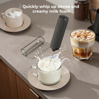 Montalatte Elettrico Ricaricabile Portatile USB-C 500mAh Mini in Acciaio Inox Ecologico per Schiuma di Caffè e Latte