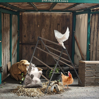 Grand perchoir d'extérieur pour poulet Échelle à poulet en bois compatible à 4 niveaux