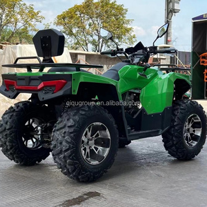 Buggy tout-terrain refroidi par air EU QIQU, automatique avec marche arrière, kart à essence commercial 200cc - Product Image 2