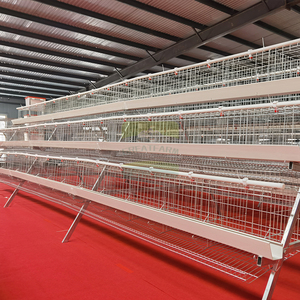 Cage à poulets de type A en acier Q235 galvanisé à chaud à 3 niveaux et 5 portes avec abreuvoirs, longue durée de vie <span class=keywords><strong>pour</strong></span> élevages avicoles - Product Image 5