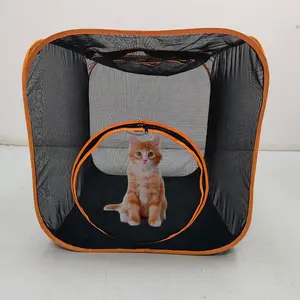 Палатка для кошек, 4 в 1