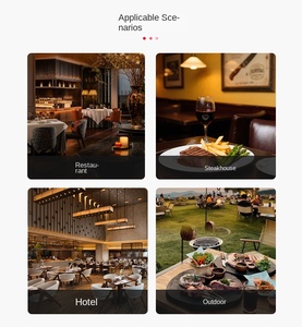 Parrilla Argentina de Acero Inoxidable de Nuevo Diseño Santa Maria para Restaurantes, Uso Interior y Exterior - Product Image 5