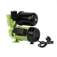 750w 1hp systèmes d'eau chaude électriques automatiques pression pompes à eau propre périphériques
