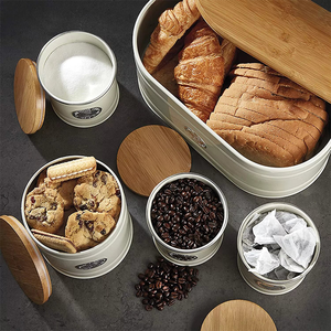 Mini pot en métal galvanisé avec couvercle en métal cactus succulent bonsaï pour fleurs et jardin mini conteneur pour plantes avec couvercle en métal - Product Image 6