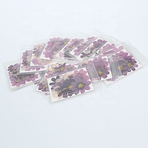 M044 Whole Sale Mixed Dry Purple Cosmos Pressed <strong>Flowers</strong> Natural Real Dried <strong>Flower</strong> <strong>Press</strong> for Wedding Card Making Mother's Day - Product Image 2
