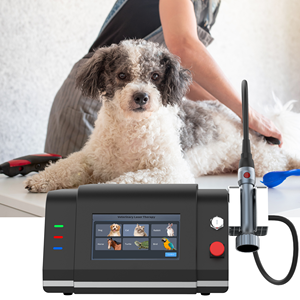 Máquina <span class=keywords><strong>de</strong></span> Terapia Láser Veterinaria <span class=keywords><strong>de</strong></span> Clase IV <span class=keywords><strong>de</strong></span> 810nm y 980nm Avanzada para Alivio del Dolor en Mascotas, Cuidado Postoperatorio - Product Image 1