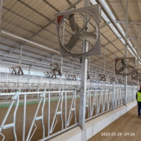 Ferme en acier structure métallique pour bâtiment pour élevage cheval chèvre vache