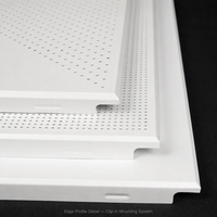 Panneaux de plafond en aluminium 600x600mm ignifuges, résistants à l'humidité, grille de plafond intégrée, plafond suspendu, hôpitaux, sous-sols