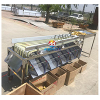 Fruit Automatische Sorteermachine Apple Mango Sorteerder Cherry Tomaat Grootte Sorteermachine