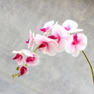2024 gran oferta Flor <span class=keywords><strong>de</strong></span> orquídeas <span class=keywords><strong>de</strong></span> imitación para centros <span class=keywords><strong>de</strong></span> mesa <span class=keywords><strong>de</strong></span> boda <span class=keywords><strong>seda</strong></span> Artificial tacto Real mariposa orquídea <span class=keywords><strong>polilla</strong></span> - Product Image 2