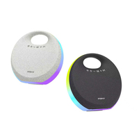 Haut-parleur karaoké portable OEM avec Bluetooth, 10W, basses profondes, lumière RGB, TWS, alimentation CC, USB, AUX, carte TF, micro, haut-parleur sans fil