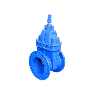 Din F4 PN16 PN10 Nbr Gietijzeren Sluis Gost Water Gate Valve