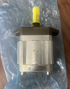Pompe hydraulique série EIPC EIPC3 EIPC5 EIPC6 EIPC3-050RA23-10 890-EI-0320-RS2-C313 Huile pour engrenages haute performance ECKERLE Interne - Product Image 1