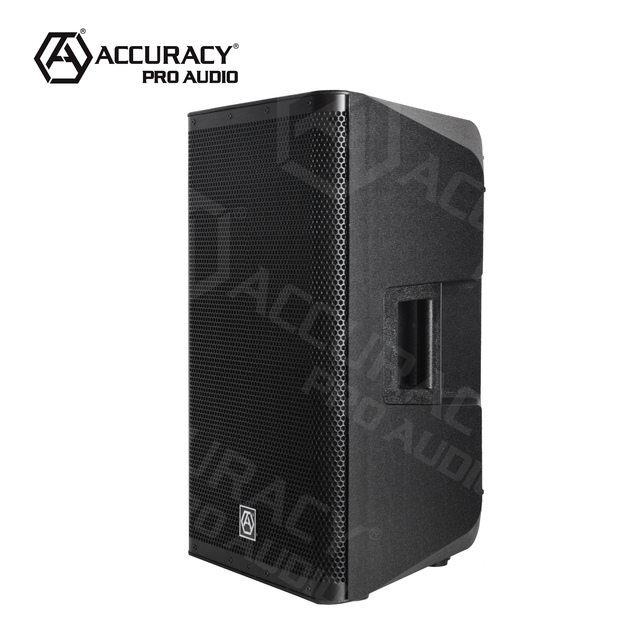 Accuracy Pro Audio CAU12D3 Professional 500W 12 Inch Powerful Active Professional Plastic Class-D Active Speaker