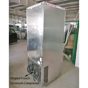container blast chiller and freezer cabinet blast freezer for fish and chicken
