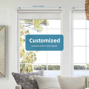 Deyi Con Lăn Che Sáng Cải Thiện Nhà Cửa Bằng Pin Có Thể Sạc Lại Tự Động Mở Tự Động Bằng Điện Thông Minh - Product Image 3