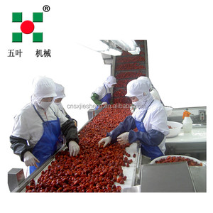 Large-scale Fully Automatic <strong>Fruit</strong> <strong>Processing</strong> Line,<strong>fruit</strong> &amp; Vegetable <strong>Processing</strong> <strong>Machines</strong>,IQF Freezer,greenbeans,strawberry,Cherry - Product Image 5