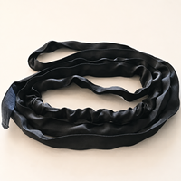 Sangle de levage de scène en polyester 100% de qualité supérieure, 2T 3M, sangle plate à œillets