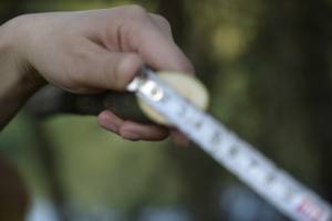 Sécateur électrique sans fil 0-35 mm pour arbres, cisailles à branches électriques au lithium, ciseaux de jardin domestiques, coupe-branches - Product Image 5