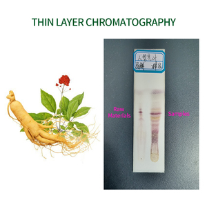 Органический экстракт корня женьшеня, Гинзенозиды 80%, корейский экстракт красного женьшеня, порошок женьшеня - Product Image 4