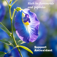 Poudre de fleur de pois papillon OEM/ODM très demandée, ingrédient culinaire brut adaptogène, colorant alimentaire bleu végétalien, soutien antioxydant
