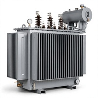 Transformateur de distribution triphasé immergé dans l'huile S22 M, entièrement scellé, cuve ondulée, 10 kV 0,4 kV Dyn11 pour la distribution d'énergie