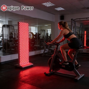 6000w 630Nm 660Nm 850Nm 940nm 1060nm Full Body Device <strong>Led</strong> Infrared Technology Bed Red <strong>Light</strong> Therapy <strong>Panel</strong> for Exercise Bike - Product Image 2