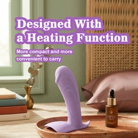 Tragbarer Vibrations-Slip mit Doppelmotoren Klitorale Vaginale Stimulation Sexspielzeug für Frauen Paare Fernbedienung Mini-Dildo Vibrator