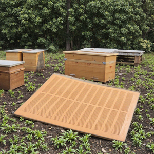 Herramientas de colmena 10 8 Marco Langstroth diseño de plástico trampa de propóleo de abeja colector de malla 100 uds/modelo de cartón nuevo para granja - Product Image 3