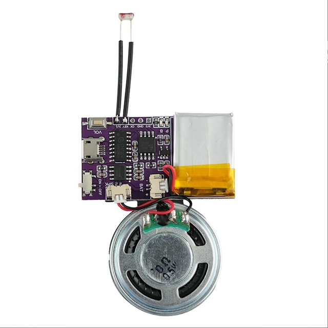 Voice Module MP3 Music Sound Chips 16MB Sound Module for Crafts Box with Speaker Lithium Battery Powered and USB Cable
