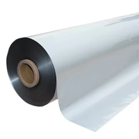 Ruban isolant transparent en polyester PET mylar pour câble et conduit flexible