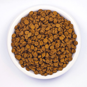 Nourriture pour animaux de compagnie sans céréales, diverses formes, nourriture sèche pour chat, FDA OEM ODM - Product Image 4