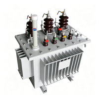 Transformateur de distribution triphasé immergé dans l'huile pour usage agricole et parcs industriels, 50KVA, 80KVA, 100KVA, 125KVA, 6kV, 10kV